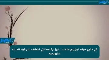 في ذكرى ميلاد إيرلينج هالاند.. أبرز أرقامه التي تكشف سر قوة الدبابة النرويجية